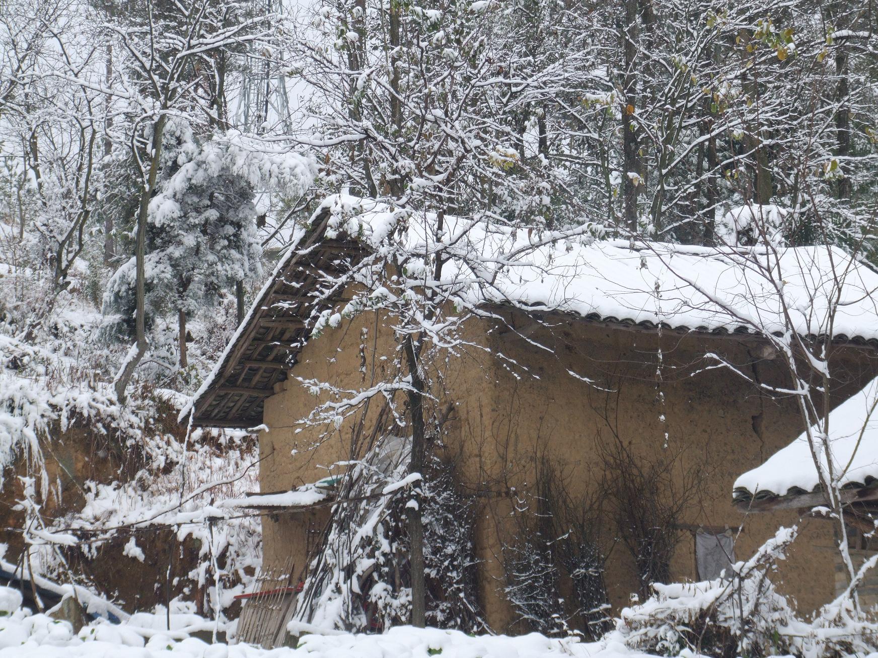 茅草屋雪景图片图片